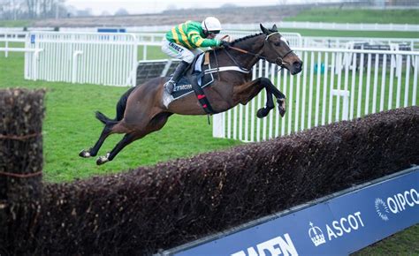 cheltenham festival runners|Confirmed runners and riders for the Champion Chase at the .